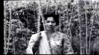 Filem Melayu Klasik  SRI MERSING 1961 [upl. by Amoakuh]