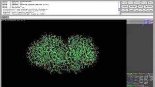 PyMOLを使ってタンパク質の構造を見る [upl. by Anniken]