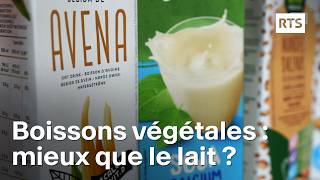 Les boissons végétales peuventelles remplacer le lait   RTS [upl. by Aubin]