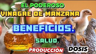 Por que dar el vinagre de manzana a tus gallinas y pollitos [upl. by Idden]