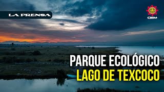 Parque Ecológico Lago de Texcoco por la justicia ambiental y social [upl. by Miarzim]