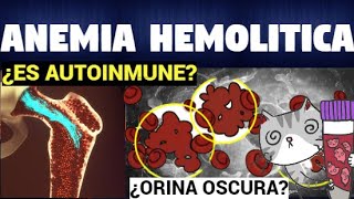 TODO SOBRE Anemia Hemolítica  Tipos Causas Síntomas y Tratamiento [upl. by Dera]