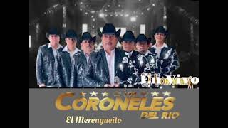 CORONELES DEL RIO En Vivo  El Merengueito  Cover [upl. by Eegnat]