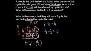 Cystic fibrosis probability questions and solutions [upl. by Dorreg541]