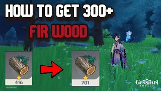 HOW TO GET 300 FIR WOOD USING THIS ROUTE  Genshin Impact [upl. by Appleby]