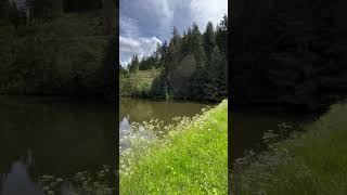 Harz  Hahnenklee  Grumbacher Teich youtube travel landscape life views beach nature shorts [upl. by Hahseram]