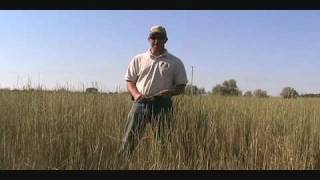 Grazing Management Basics [upl. by Sapienza522]