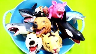 Animals Farm Toys Baby Find Mom Learn Zoo Animals Names and Sounds for Kids Toys Video [upl. by Christel312]