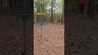 discgolf discgolflife discmania discmaniap3x disclife dangdiscgolf birdie workingmansbirdie [upl. by Kowal]