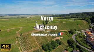 Champagne vineyards  France 4K drone footage [upl. by Clementi639]