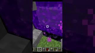 MINDBLOWING Nether Portal HACKS for Minecraft SHORTS [upl. by Neelav]