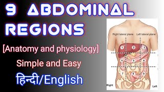 HUMAN BODY REGIONS  9 ABDOMINAL REGIONS  ABDOMINOPELVIC REGIONS  BY NAMAN MISHRA [upl. by Melessa10]