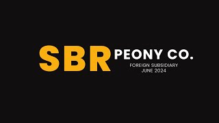 ACCA SBR  Peony Co Foreign Subsidiary June 2024 [upl. by Alphonse]