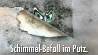 Anleitung Schimmel in Wohnung Wand  Bad entfernen [upl. by Kylen396]