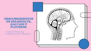 Descubrimientos de Helmholtz Galvani y Flourens [upl. by Eart]