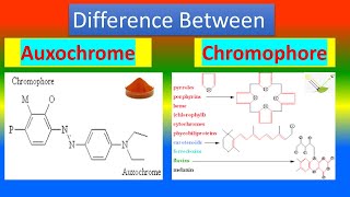 Difference between Auxochrome and Chromophore [upl. by Aelaza357]