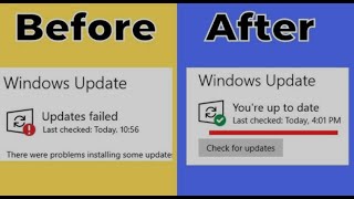 Fix All Windows Update Error Problems in Windows 1110 2023 Hindi [upl. by Sirenay]