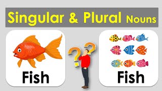 Singular and Plural nouns  with pictures in English for kids [upl. by Eelta]