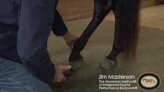 Hind Leg Release With Jim Masterson [upl. by Veronika512]