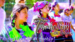 Torbellino De Oaxaca Tema  Estrellita De Mi Pueblo [upl. by Atsira143]