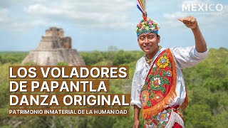 La ceremonia ritual de los Voladores de Papantla  Pájaros de la Tierra  Patrimonio Inmaterial [upl. by Eissirhc]