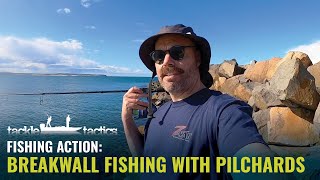 Breakwall Fishing with Pilchards for Tailor Australian Salmon and Flathead [upl. by Elodea]