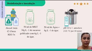 Estabelecimento in vitro de sementes de Micranthocereus purpureus e Cereus jamacaru [upl. by Nasah685]