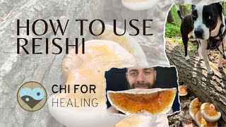 How To Use Reishi Mushrooms After Harvesting [upl. by Aurelia]