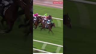 Hurry Curry takes out the Crown Oaks Preview horseracing horse racing flemington shorts [upl. by Enicnarf84]