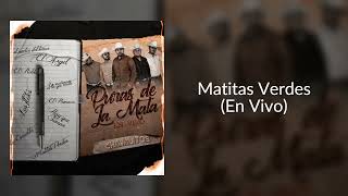 Matitas Verdes En Vivo  Los Chavalitos [upl. by Nazario]