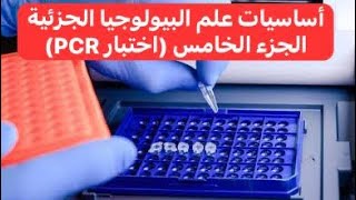 اساسيات علم البيولوجيا الجزئية الجزء الخامس إختبار PCR Molecular Biology Bases PCR Test [upl. by Stander]