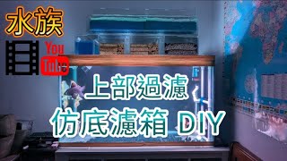 上部過濾 乾濕分離 仿底濾箱 DIY 設計製作 水族 魚缸 [upl. by Spitzer839]