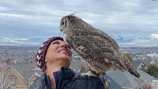 Going on a walk with Oaky🦉🪶 [upl. by Artemahs767]