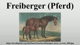 Freiberger Pferd [upl. by Saturday]