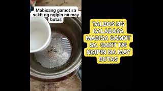 talbos ng kalabasa mabisang gamot sa sakit ng ngipin na may butas [upl. by Allerus241]