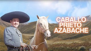 Antonio Aguilar  Caballo Prieto Azabache Letra Oficial [upl. by Sacha991]