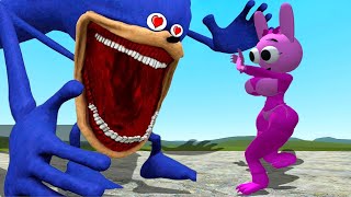 NEW SHIN SONIC TAPES LOVE STORY THE SPRUNKI LOVE STORY PINK SONG In Garrys Mod [upl. by Otrebogad519]