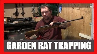 Garden Rat Trapping [upl. by Lipp]