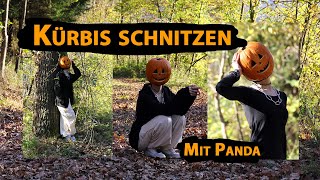 🎃Kürbis🎃 Maske schnitzen mit Panda amp Katzen [upl. by Major]