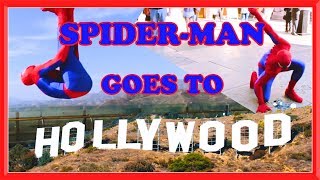 SPIDERMAN GOES TO HOLLYWOOD in Real life  Parkour Flips amp Kicks [upl. by Avehsile983]