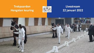 Hengstenkeuring Trekpaarden 2022 [upl. by Lizned]