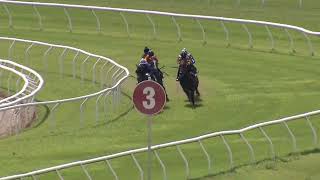 Heat 14 Doomben Jumpouts 270224 [upl. by Toft]