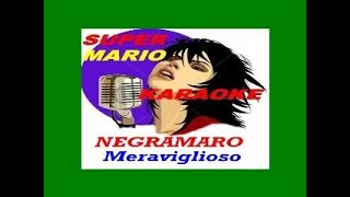 NEGRAMARO  MERAVIGLIOSO  KARAOKE [upl. by La]