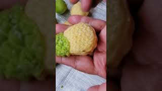 skill making pineapple tart [upl. by Akeenahs]