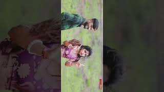 Panchami song new janapada song malu nipanal whasttap Stastu [upl. by Castorina377]