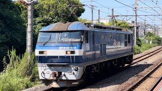 【EF210118 単機回送】JR貨物EF210形100番台118号機（新塗装）が単機で新川崎駅を通過するシーン（3086レ・新A216・コンテナ輸送）2024917 [upl. by Fasta]