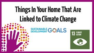 Things in Your Home that are Linked to Climate Change [upl. by Berta]