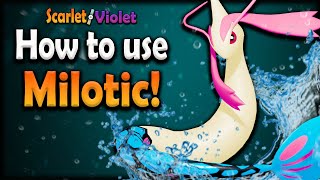 You NEED To Use MILTOIC In Regulation E  MILOTIC Moveset Guide Pokemon Scarlet and Violet VGC 2024 [upl. by Sadnak]