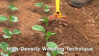 Introduction to Weed Management in a Small Scale Organic Production System HD [upl. by Airrej]