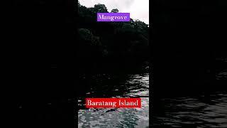 Baratang Island baratang shorts island andaman minivlog [upl. by Idnis]